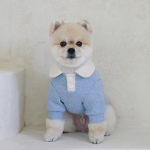 [11차 재입고] soft collar knit (blue)